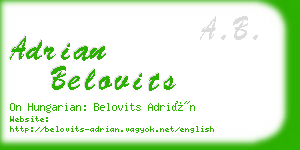 adrian belovits business card